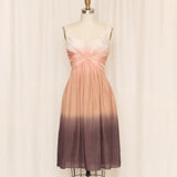 Philosophy di Alberta Ferretti Ombre Silk Dress