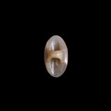 Horn Ring with Gold Line Accent