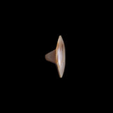 Horn Ring with Gold Line Accent