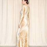 Roberto Cavalli Velour Blue and Tan Maxi Dress