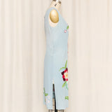 Amuleti Beaded Silk Dress